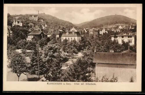 AK Blankenburg a. Harz, Villen mit Silberborn