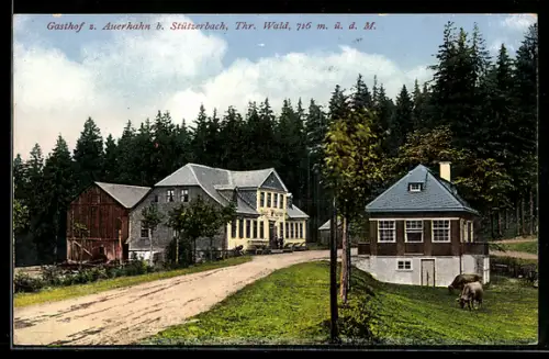 AK Stützerbach, Gasthof zum Auerhahn