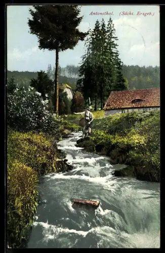 AK Antonsthal /Sächs. Erzgeb., Bachlauf mit Wanderer, Wald und Häuser
