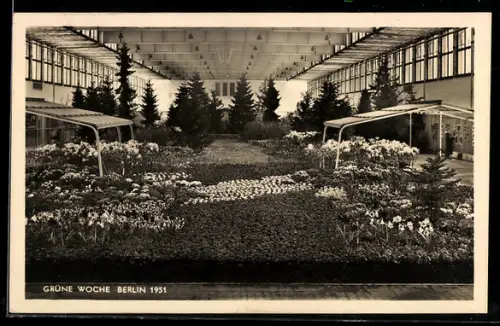 AK Berlin, Grüne Woche Berlin 1951, Ausstellungshalle mit Zierblumen und Kräutern