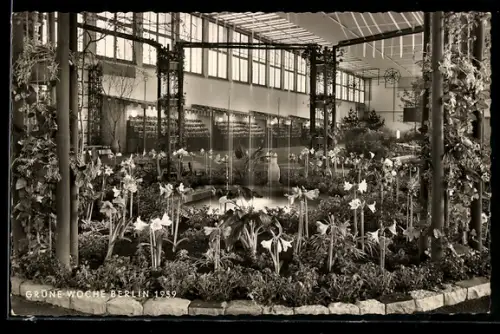 AK Berlin, Grüne Woche Berlin 1959, Ausstellungshalle mit Blumen