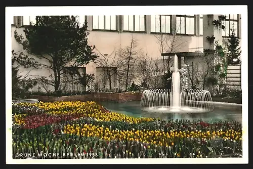 AK Berlin, Grüne Woche 1958, Springbrunnen und Tulpenbeete