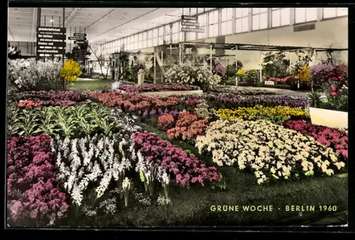 AK Berlin, Grüne Woche Berlin 1960, Gemeinschaftsstand der Berliner Blumen- und Zierpflanzenbau