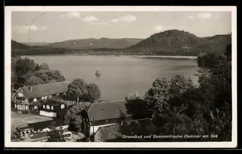 AK Hammer Am See / Hamr Na Jezere, Strandbadpartie mit Boot