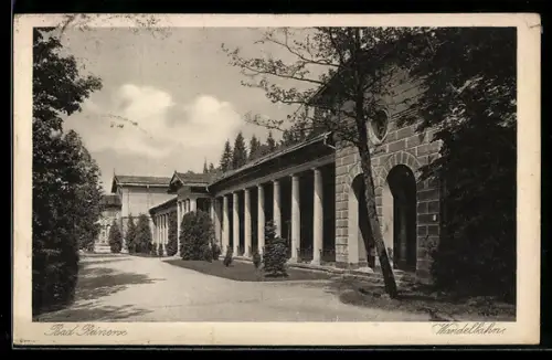 AK Bad Reinerz, Blick auf die Wandelbahn