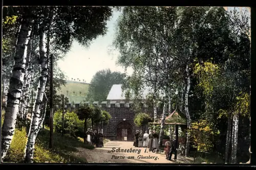 AK Schneeberg i. Sa., Partie am Gleesberg