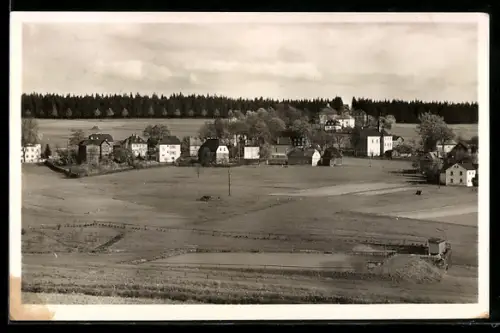 AK Wernitzgrün i. Vogtl., Ortsansicht