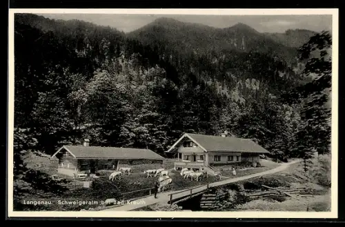 AK Kreuth /Tegernsee, Langenau, Café Schweigeralm mit Kühen, Bes. G. A. Steger