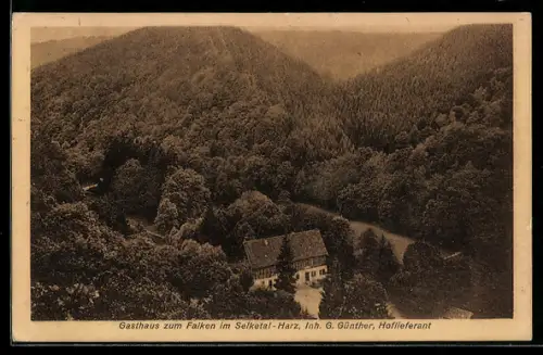 AK Selketal /Harz, Gasthaus zum Falken, Inh. G. Günther, Hoflieferant