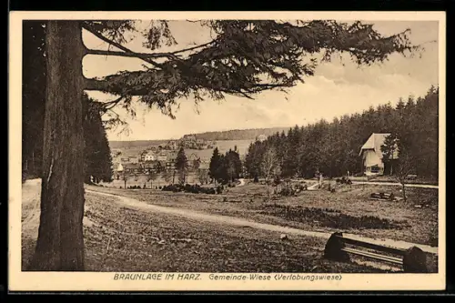 AK Braunlage im Harz, Gemeinde-Wiese / Verlobungswiese, mit Ortsansicht