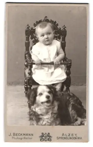 Fotografie J. Beckmann, Alzey, kleines Kind im Kinderstuhl mit seinem Hund davor
