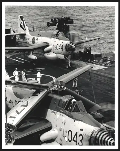 Fotografie Flugzeug Fairey Gannet der Royal Navy mit Kennung 044 an Deck von Flugzeugträger HMS Ark Royal