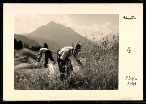 Foto-AK Adalbert Defner: Schnitter bei der Getreideernte