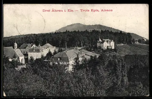 AK Drei-Ähren i. Els., Ortsansicht mit Häusern und bewaldetem Hintergrund