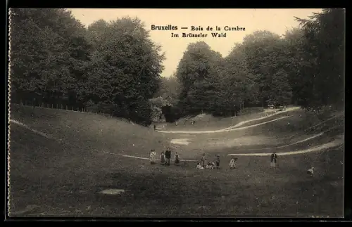 AK Bruxelles, Bois de la Cambre