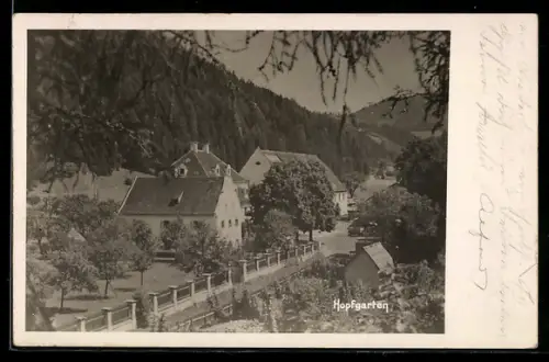 AK Hopfgarten, Ortsansicht mit Strasse