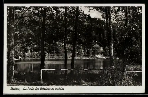 AK Kaisersbach, Hotel und Pension Ebnisee im Welzheimer Wald, Bes. Frau E. Steisslinger