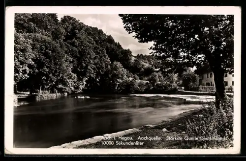 AK Aach i. Hegau, Aachquelle, 10.000 Sekundenliter