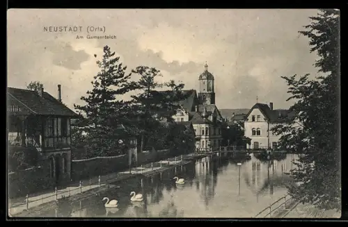 AK Neustadt /Orla, Am Gamsenteich