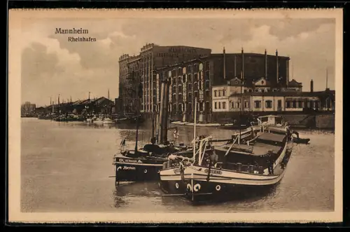 AK Mannheim, Partie am Rheinhafen mit Schiffen