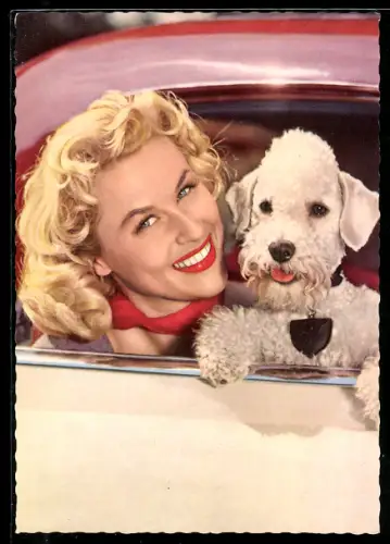 AK Schauspielerin Bibi Johns mit Pudel im Auto