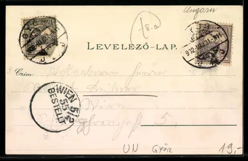 Lithographie Györ, Városház, Radó-tér és Györ uiyáros Varoshaz, Ruderboot