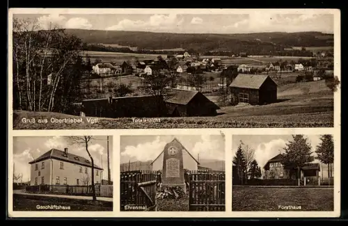 AK Triebel /Vgtl., Obertriebel, Geschäftshaus, Ehrenmal, Forsthaus, Totalansicht des Ortes