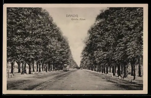 AK Danzig-Gdansk, Grosse Allee