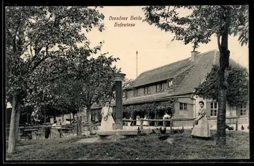 AK Dresden, Dresdner Heide, Hofewiese