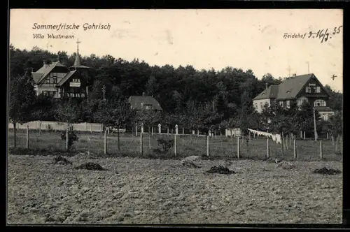 AK Gohrisch, Villa Wustmann, Heidehof