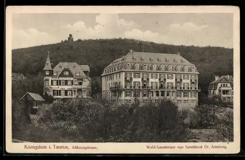 AK Königstein i. Ts., Altkönigstrasse mit Wald-Sanatorium von Sanitätsrat Dr. Amelung