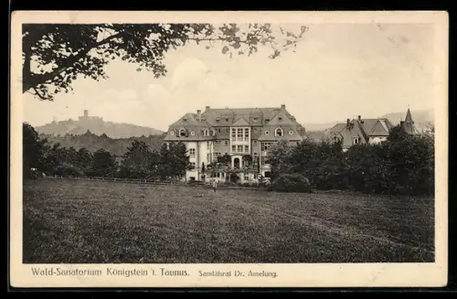 AK Königstein i. Taunus, Wald-Sanatorium, Sanitätsrat Dr. Amelung