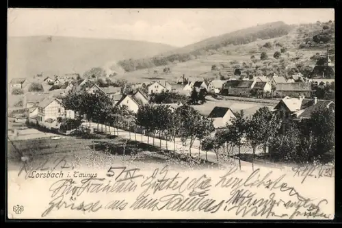 AK Lorsbach i. Taunus, Ortsansicht mit Allee