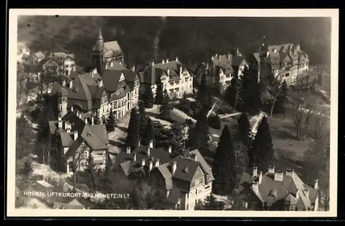 AK Falkenstein, Panorama aus der Vogelschau