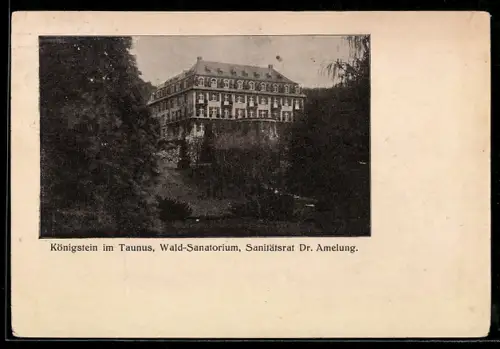 AK Königstein im Taunus, Wald-Sanatorium, Sanitätsrat Dr. Amelung
