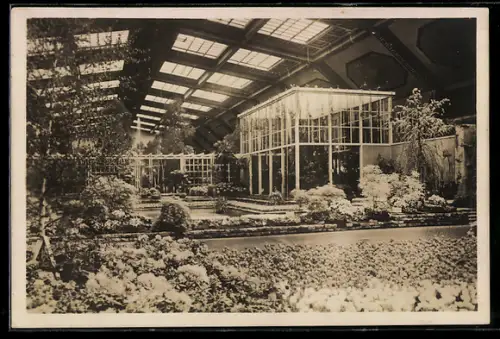 AK Berlin, Gartenbauausstellung, Ausstellungshalle, Innenansicht