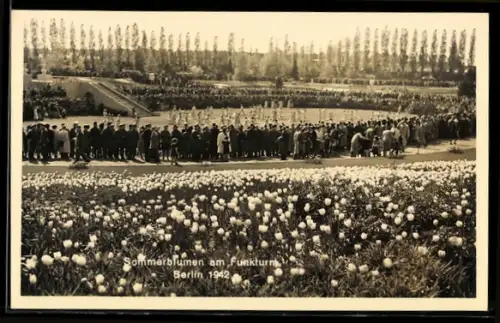 AK Berlin, Sommerblumen am Funkturm 1942