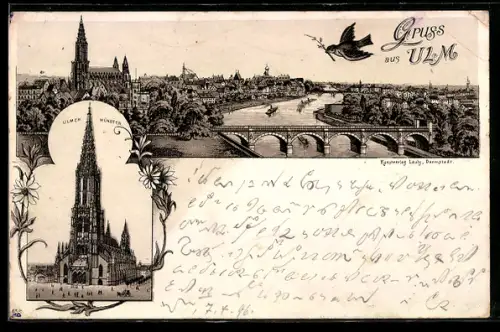 Lithographie Ulm / Donau, Ulmer Münster, Panoramaansicht mit Vogel