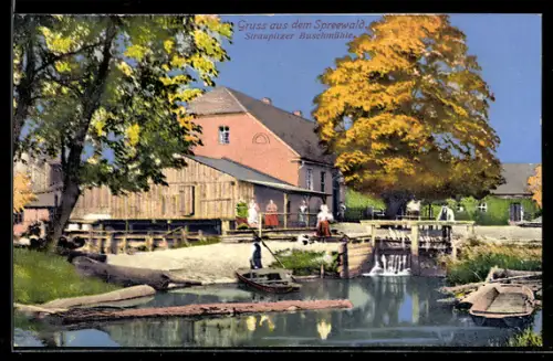 AK Straupitz /Spreewald, Straupitzer Buschmühle