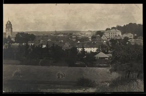 Foto-AK Usingen, Teilansicht mit Kirche
