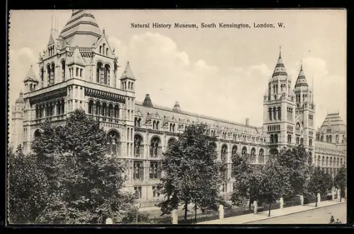 AK London, South Kensington, Natural History Museum