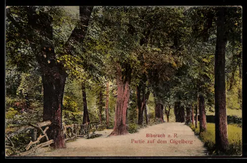 Künstler-AK Biberach a. R., Partie auf dem Gigelberg