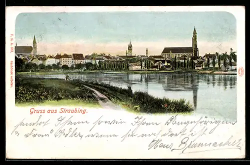 AK Straubing, Panorama vom Ufer aus