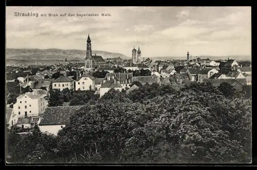 AK Straubing, Ortsansicht mit Blick auf den bayerischen Wald
