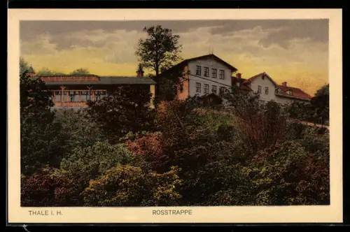AK Thale i. H., Rosstrappe