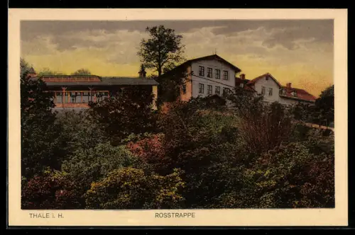 AK Thale i. H., Rosstrappe, Panorama
