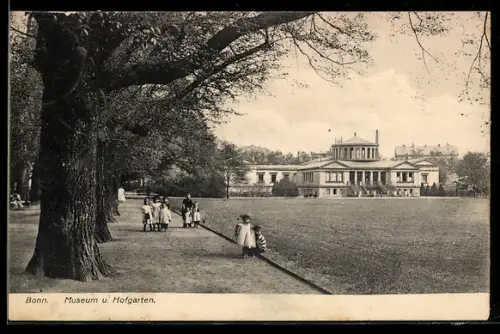 AK Bonn, Museum und Hofgarten