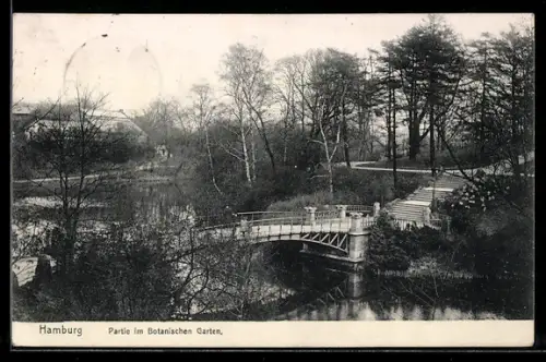 AK Hamburg-St.Pauli, Partie im Botanischen Garten, mit Brücke