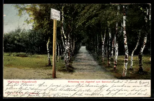 AK Hamburg-Hausbruch, Birkenweg von Jägerhof zum Bahnhof