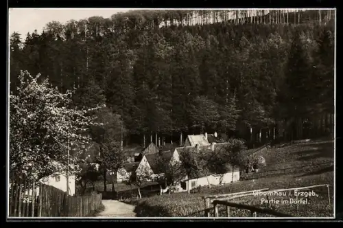 AK Olbernhau im Erzgeb., Partie im Dörfel